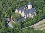 Ein Schloss mit reizvollem Potenzial - Herrschaftliches Anwesen in schönstem Weinberg-Idyll - Schonungen