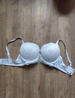 95C, Push Up BH, neu! - Rudolstadt