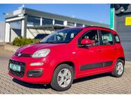 Fiat Panda - Niederzier