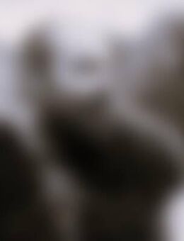 Mar*** - Bad Rappenau