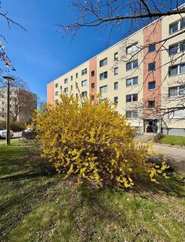 Gepflegtes Hochparterre-Apartment mit Gartenanteil - ein Stück DDR-Geschichte inklusive - Berlin