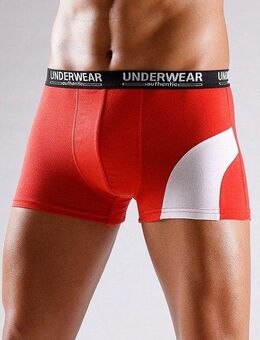 AUTHENTIC UNDERWEAR Boxer Boxershorts für Herren (Packung, 4-St) mit kontrastfarbenen Einsatz