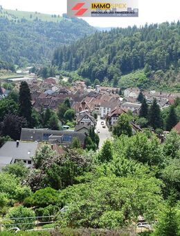 Sonnige 2-Zimmer-Wohnung in toller Aussichtslage! - Schönau (Schwarzwald)