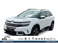 Citroën C5, 1.2 Aircross Feel 130 EU6d-T El, Jahr 2019 - Oberursel (Taunus)