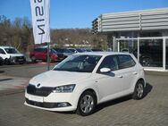 Skoda Fabia, 1.0 TSI Ambition - 1, Jahr 2021 - Heideck