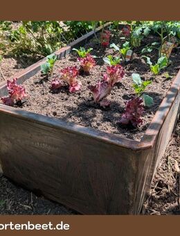 Hochbeet Cortenstahl |Hochbeet mit Schneckenschutz |mechanisch - Nürnberg