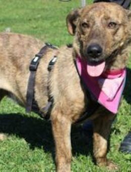 Besondere Fenya - München