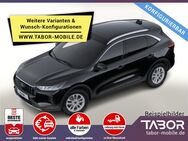 Ford Kuga, 1.5 EcoBoost 150 Tit, Jahr 2024 - Kehl