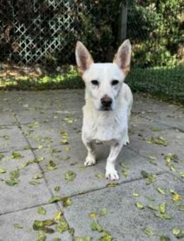 KAI - das erste Mal Zuneigung erfahren - Overath