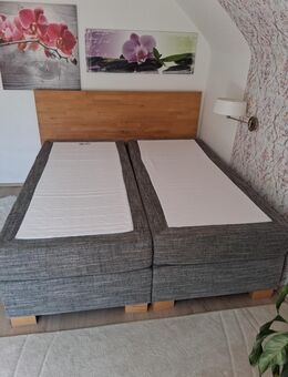 Boxspringbett incl. Matratzen - Ratshausen