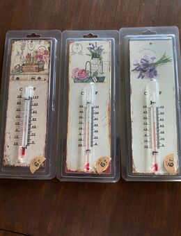 THERMOMETER - Hagen (Teutoburger Wald)