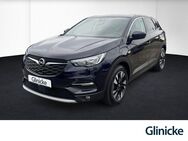 Opel Grandland X, 1.2 Turbo Design Line 18Zoll vorn hinten, Jahr 2019 - Bad Sooden-Allendorf