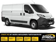Opel Movano, Cargo L2H1, Jahr 2024 - Wolfach