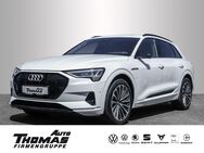 Audi e-tron, Advanced quattro, Jahr 2020 - Bonn