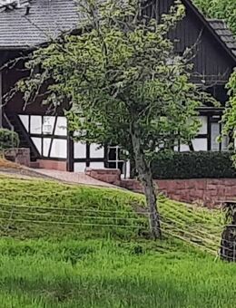 Stilvolles Fachwerkhaus in Schwarzwaldlage - charmant, flexibel, naturnah, bis zu 3 Wohneinheiten - Baden-Baden