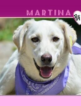 MARTINA 🩷 - SUCHST DU NACH MIR? - Alfeld (Leine)