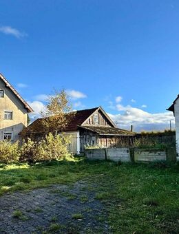Ein- bis Zweifamilienhaus mit großem Gestaltungspotenzial - ländliche Ruhe & viel Platz für Ideen - Thanstein