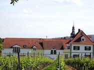 Hochwertiges und charmantes Anwesen an der Deutschen Weinstraße bei Bad Dürkheim (mit 2 separaten Häusern) - Kallstadt