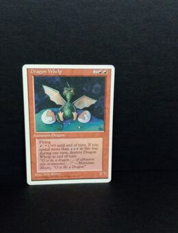 Magic The Gathering-Dragon Whelp - Nörvenich
