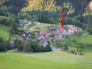 Ruhig gelegenes Einfamilienhaus am Naturschutzgebiet Belchen - Aitern