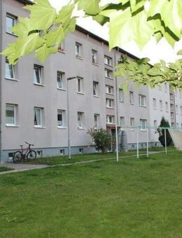 Mehrfamilienhaus bei Greifswald mit 1.600 m² Wohnfläche im Makler-Alleinauftrag ! - Greifswald