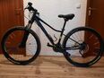Mountainbike Superio MODO XC877 in 81539