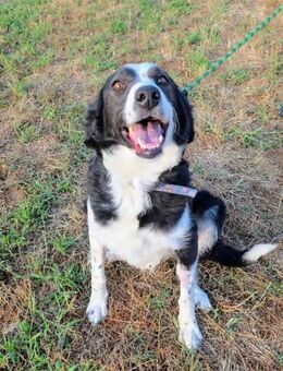 Lilly, der perfekte Familienzuwachs! - Oberhausen