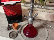 INVI Shisha Rot - Sonneberg