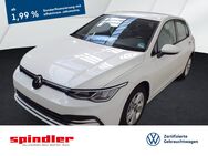 VW Golf, 1.5 TSI VIII Life, Jahr 2024 - Kitzingen