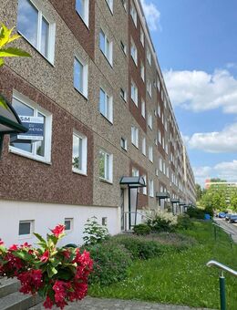 +++ Mit Pinsel und handwerklichem Geschick zum Wohnglück +++ - Gera