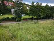 sonniger Bauplatz in Seckmauern mit schöner Ausrichtung - Lützelbach