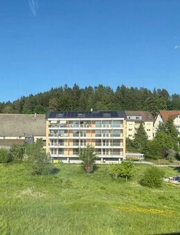 3 Zimmer Eigentumswohnung inkl. Stellplatz auf Wunsch mit 450m² Garten - Villingen-Schwenningen
