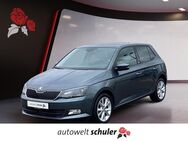 Skoda Fabia, 1.2 TSI Joy, Jahr 2016 - Villingen-Schwenningen