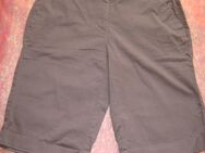 NEUw * Sexy * stylisch * DESIGNER * Basic * Bermuda * Short * Hose * Gr. 36- 38/ S * schoko- braun * - Riedlingen