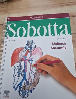 Sobotta - Malbuch Anatomie - Hamm