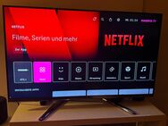 LG 55 Zoll 3D TV - Dortmund