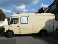 Mercedes Benz, Vario 508D, 3500 Kg zul.Ges.Gew., H-Kennzeichen - Gronau (Leine)