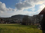 Einfamilienhaus mit Potenzial + großes Grundstück mit Baumöglichkeit(en) in Elisabethszell - Haibach (Regierungsbezirk Niederbayern)