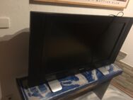 Fernseher 40 Zoll Plasma - Mühlhausen (Baden-Württemberg)