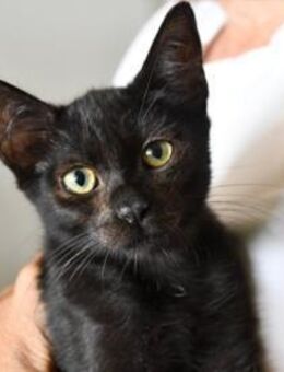 Pascal möchte endlich ankommen - Neuss