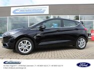 Ford Fiesta 1.0 EcoBoost Titanium PDC Alu - Bad Lobenstein