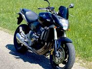 Honda CB 600 Hornet PC41 - Gammertingen
