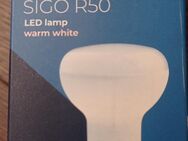 LED Lampe Sigo R50 6W Kanlux - Nürnberg