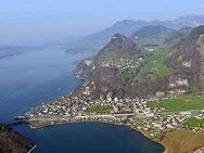 Villa mit Sicht auf den Vierwaldstättersee, Schweiz, zu verkaufen - Bühl