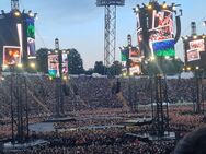 Nette Begleitung für Metallica Konzert in München und mehr gesucht. - München