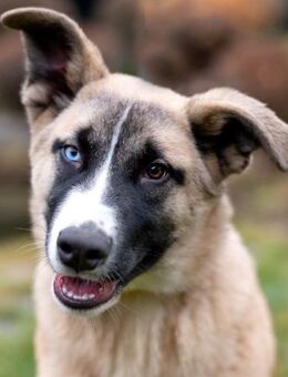 Cooler BOOMER wird ein guter Freund - Bad Bevensen