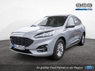 Ford Kuga, 2.5 Hybrid ST-Line X, Jahr 2023 - Halle (Saale)