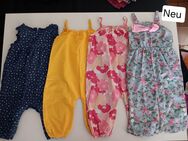 Hosen paket - Marienberg