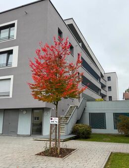 Seniorengerechte 3 Zi.-Wohng. + TG 90 qm in Schwarz. Gmünd-Rehnenhof - Schwäbisch Gmünd