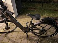 E-bike Centurion E Fire - Hannover Bothfeld-Vahrenheide